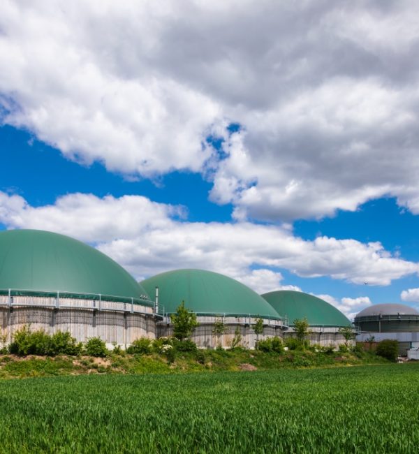 Compilation of a Best Practice Manual for Biogas Market Development in Southern Africa