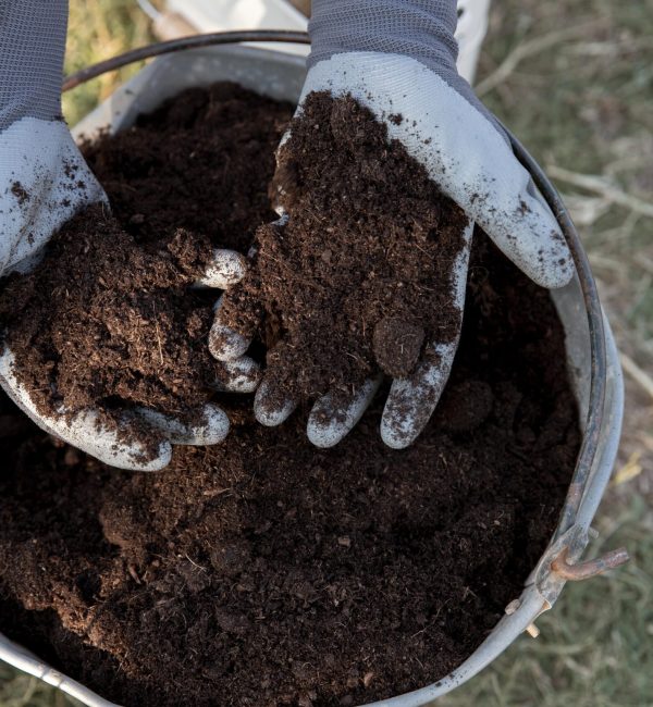 Feasibility Studies for Digestate Handling and Waste-to-Energy linked to Aquaponics