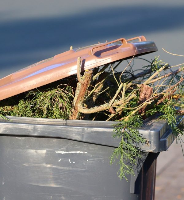 Gap and Needs Assessment for Garden Waste Diversion in the City of Tshwane