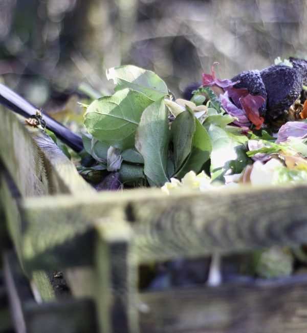 Gap and Needs Assessment for Garden Waste Diversion in the City of Johannesburg